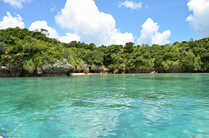 琉球真珠の歴史（1977年～）